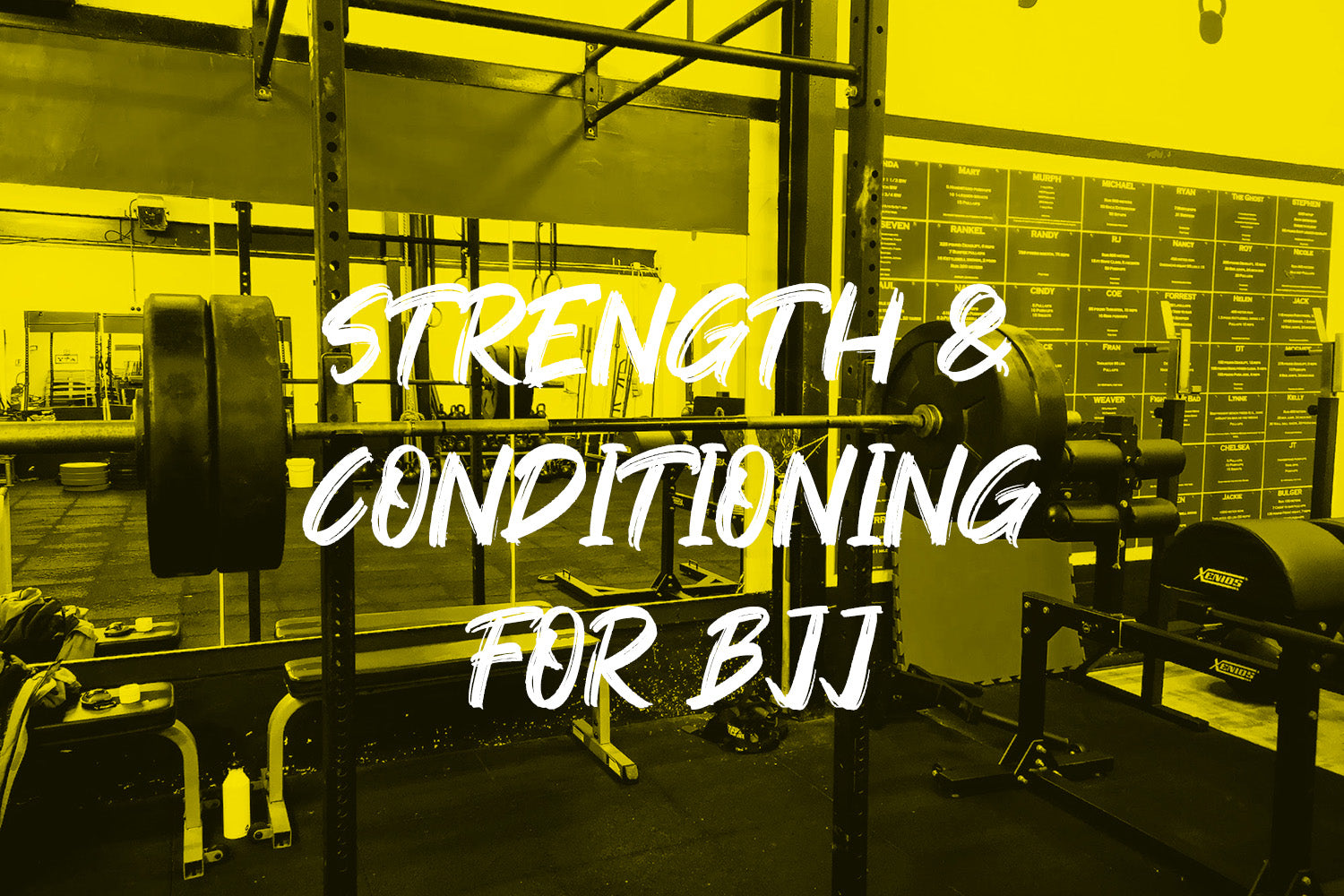 Bjj Strength And Conditioning Program
