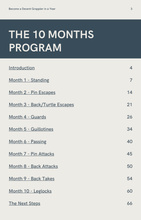 Load image into Gallery viewer, eBook BJJFlowCharts - How to Become a Decent Grappler in a Year