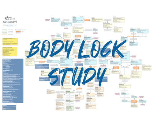 Systematically Attacking The Guard Body Lock Study by Gordon Ryan-FlowChart