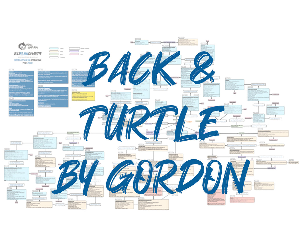 BJJFlowCharts-Bundle Back and Turtle by Gordon