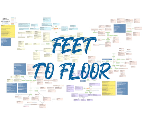 BJJFlowCharts-Bundle Feet to Floor by Danaher