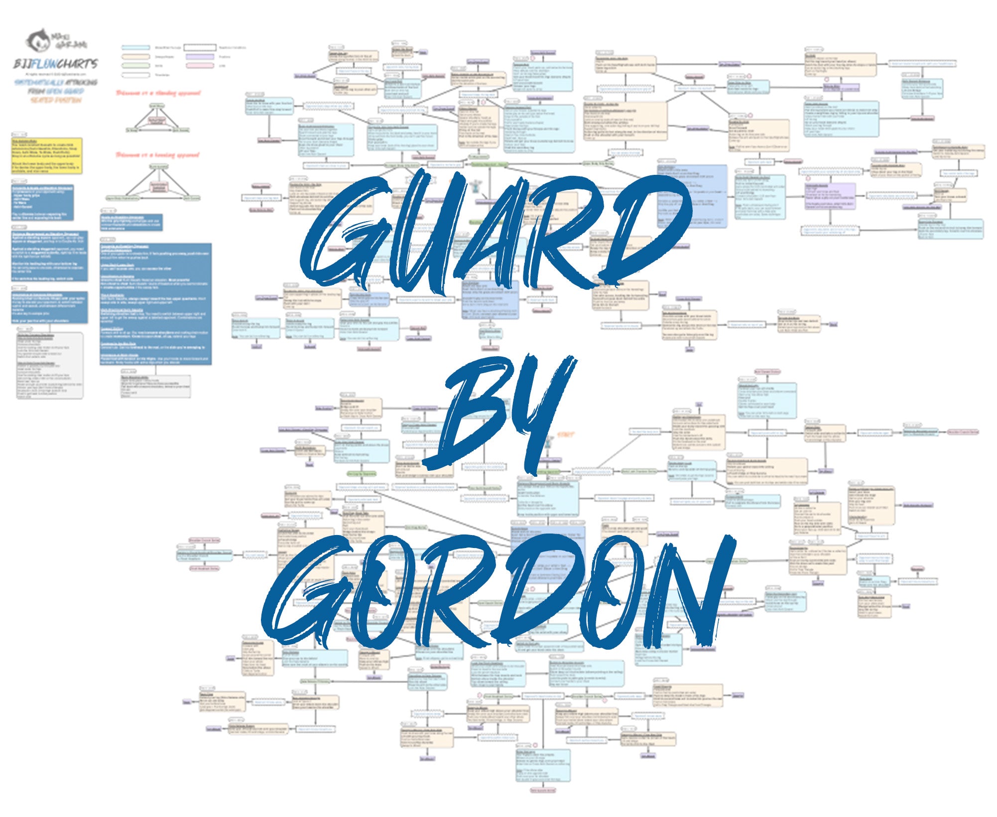 Bundle - Guard by Gordon – BJJFlowCharts