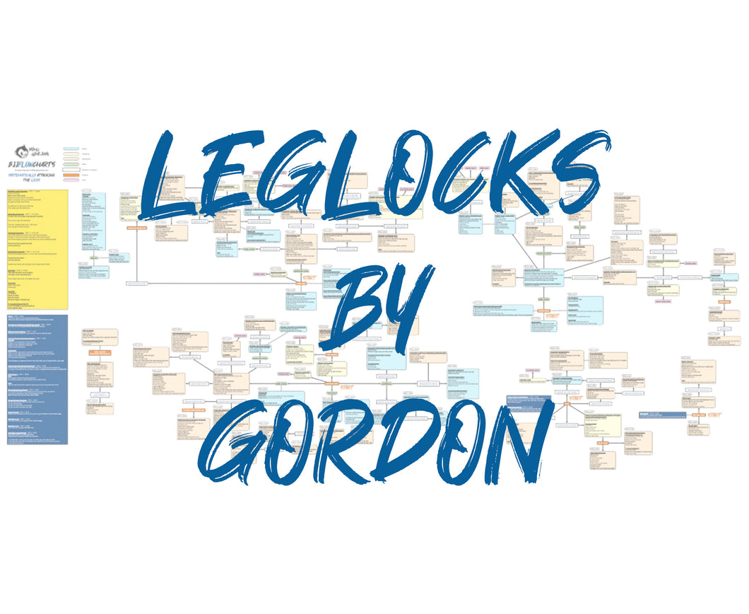 BJJFlowCharts-Bundle Leglocks by Gordon