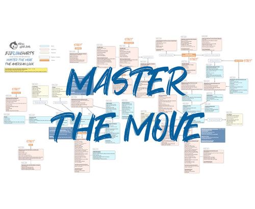 BJJFlowCharts-Bundle Master the Move