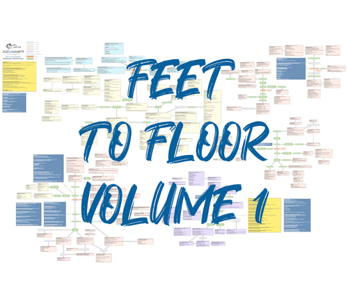 BJJFlowCharts-Flow Chart of Danaher's Feet to Floor Volume 1 Jiu-Jitsu System