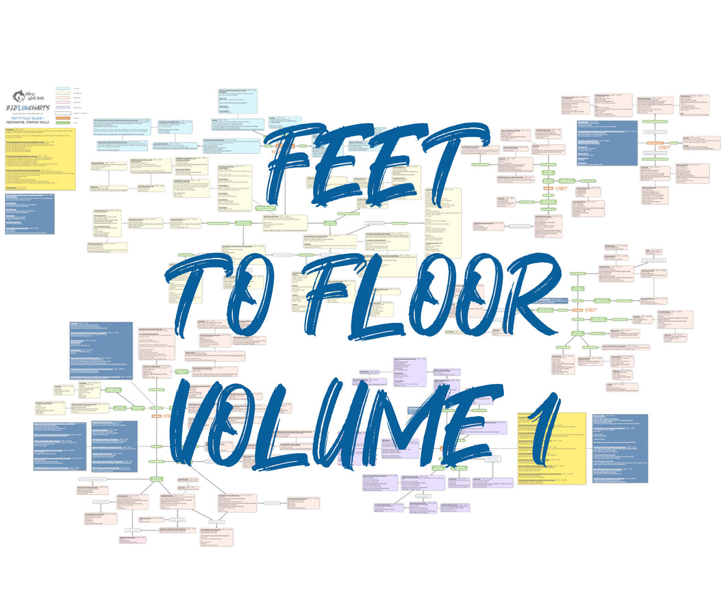 BJJFlowCharts-Flow Chart of Danaher's Feet to Floor Volume 1 Jiu-Jitsu System