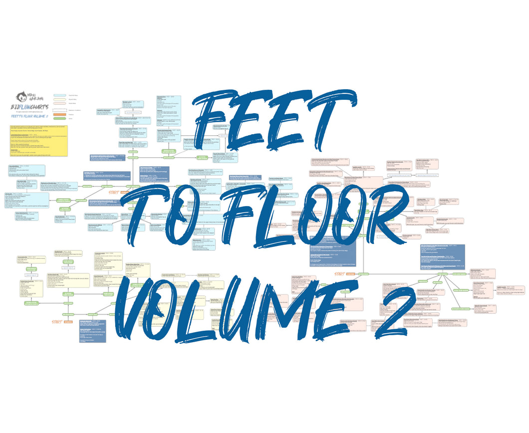BJJFlowCharts-Flow Chart of Danaher's Feet to Floor Volume 2 Jiu-Jitsu System