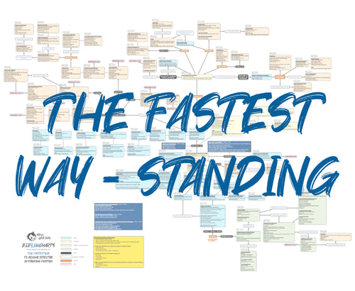 BJJFlowCharts-Flow Chart of Danaher's The Fastest Way to Become Effective in Standing Position Jiu-Jitsu System