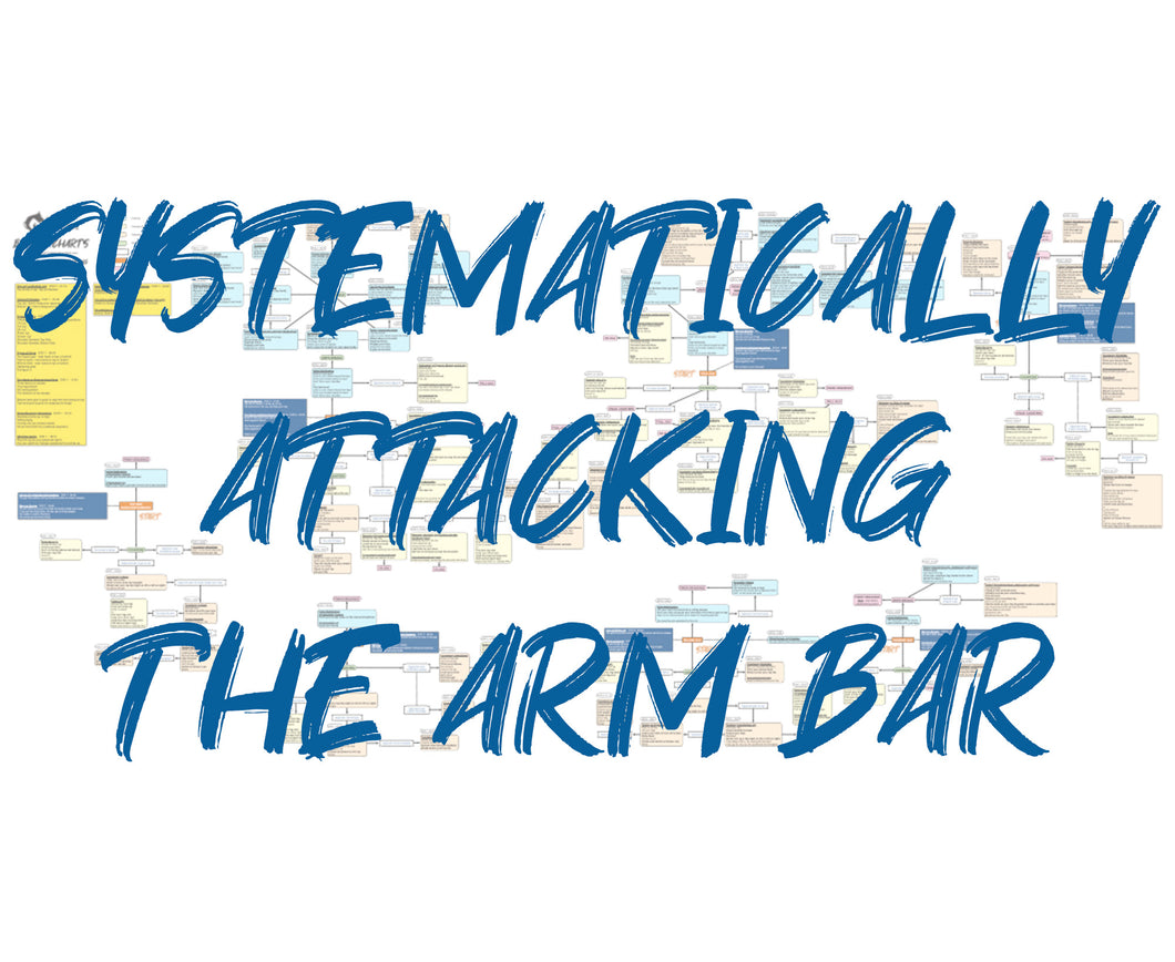 BJJFlowCharts-Flow Chart of Gordon Ryan's Arm Bar Jiu-Jitsu System