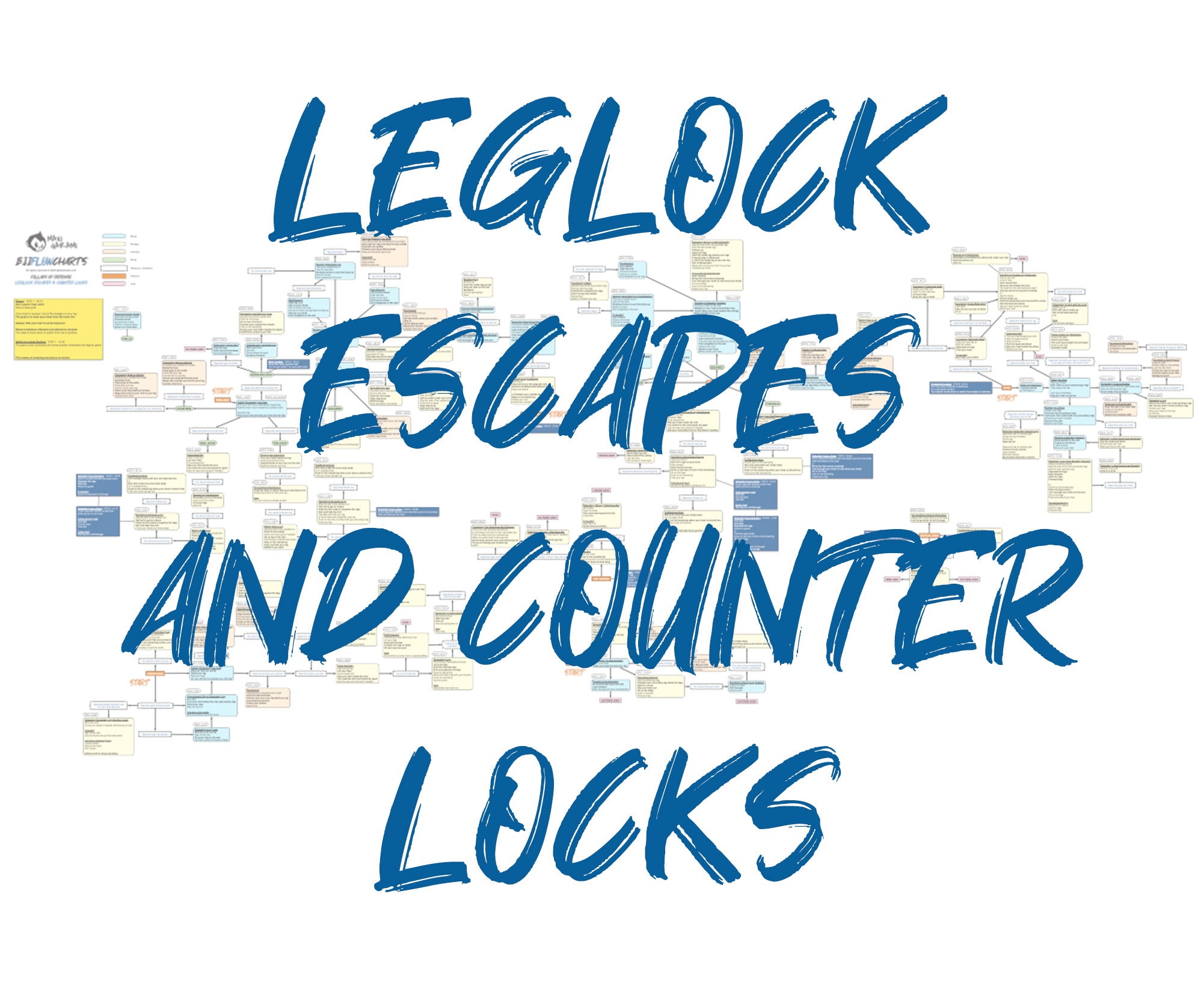 FlowChart - Pillars of Defense Leglock Escapes & Counter Locks by Gord ...