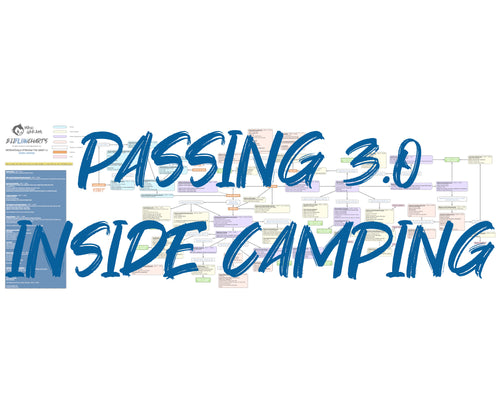BJJFlowCharts-Flow Chart of Gordon Ryan's Inside Camping Passing Jiu-Jitsu System