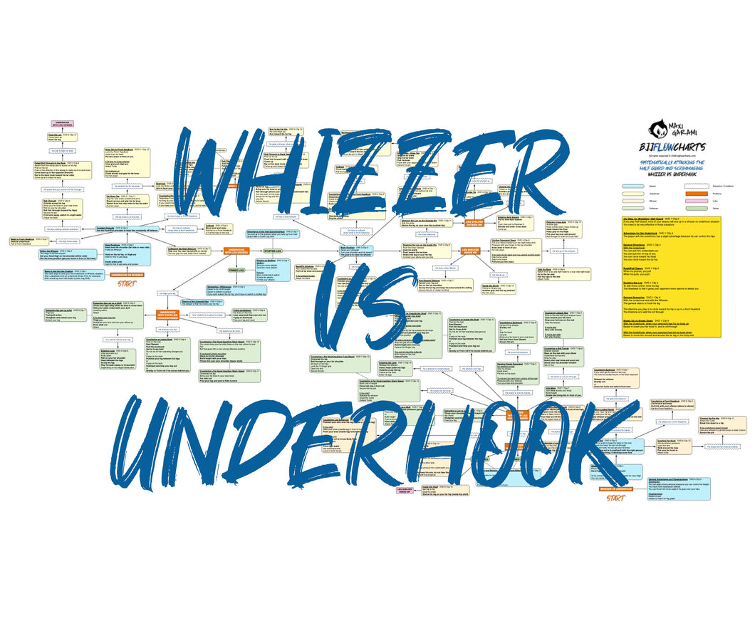 FlowChart - Systematically Attacking The Half Guard and Scrimmaging Wh ...