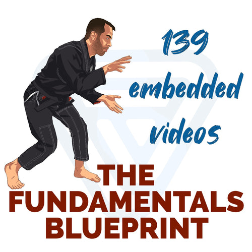 BJJFlowCharts-The Fundamentals Blueprint