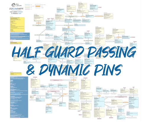 BJJFlowCharts-Flow Chart of Danaher's Half Guard Passing and Dynamic Pins Jiu-Jitsu System