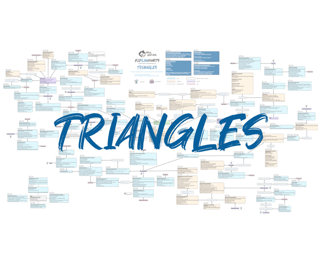 BJJFlowCharts-FlowChart of Danaher's Triangles Jiu-Jitsu System