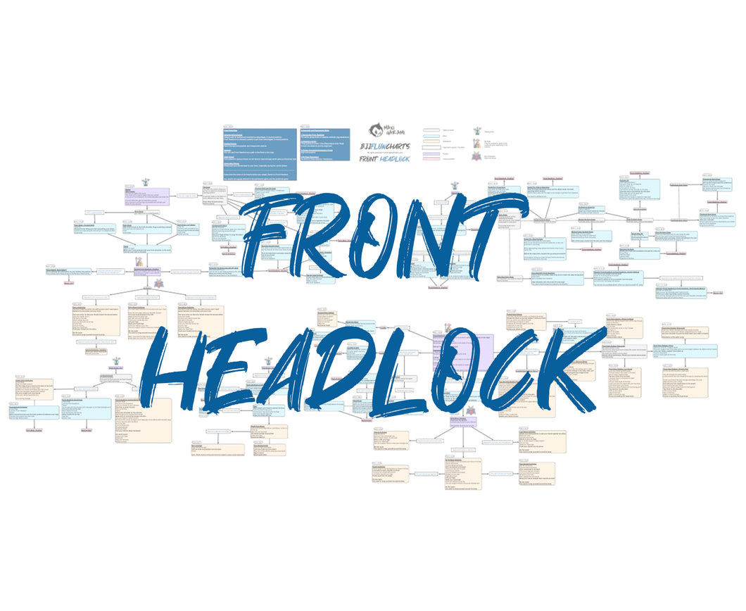 FlowChart - Front Headlock - Enter the System by John Danaher