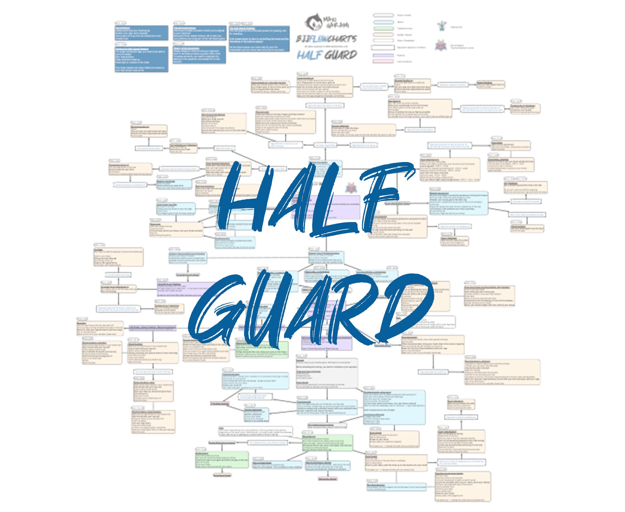 FlowChart - Half Guard - Go Further Faster by John Danaher – BJJFlowCharts