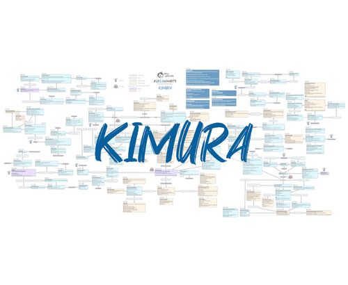 BJJFlowCharts-Kimura Flowchart-Enter the System by John Danaher