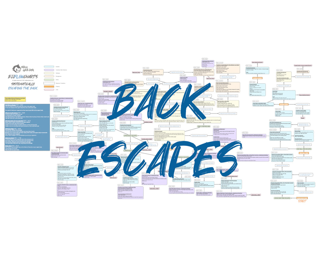 BJJFlowCharts-Flow Chart of Gordon Ryan's Back Escapes Jiu-Jitsu System