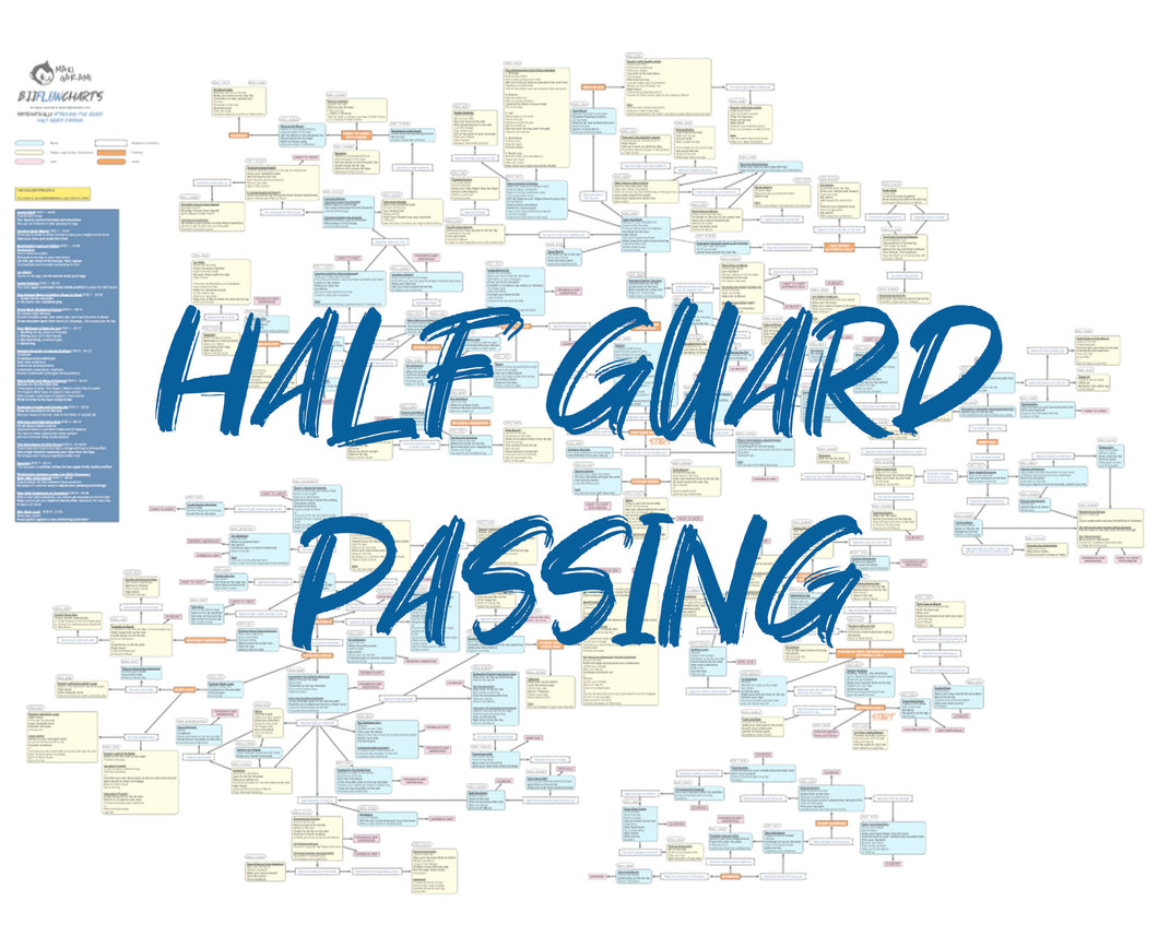 FlowChart - Systematically Attacking The Guard - Half Guard Passing by Gordon Ryan