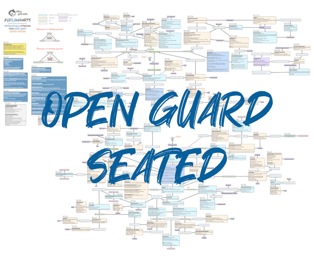 BJJFlowCharts-Flow Chart of Gordon Ryan's Open Guard Seated Jiu-Jitsu System