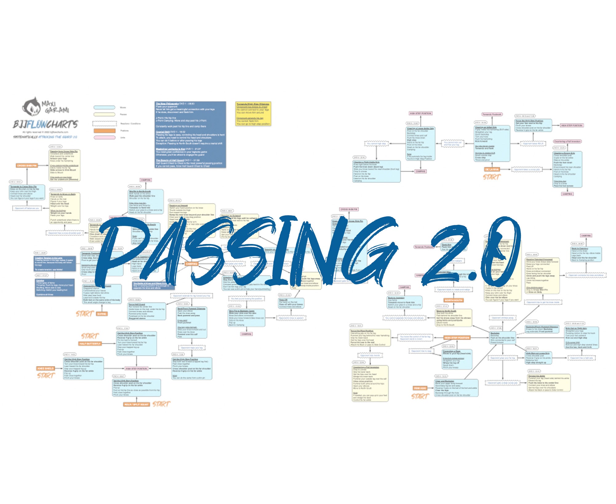 FlowChart - Systematically Attacking The Guard 2.0 by Gordon Ryan ...