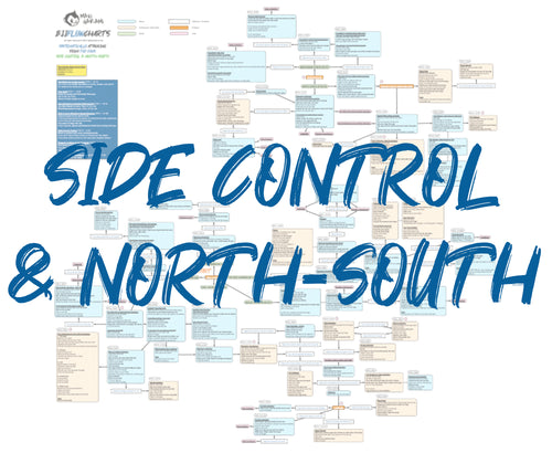 BJJFlowCharts-Flow Chart of Gordon Ryan's Side Control and North South Jiu-Jitsu System