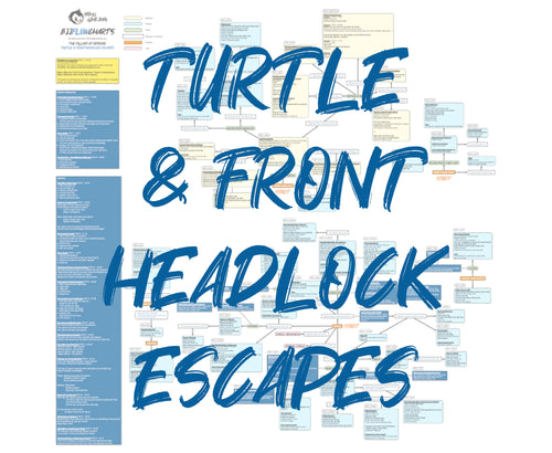 BJJFlowCharts-Flow Chart of Gordon Ryan's Turtle and Front Headlock Escapes Jiu-Jitsu System