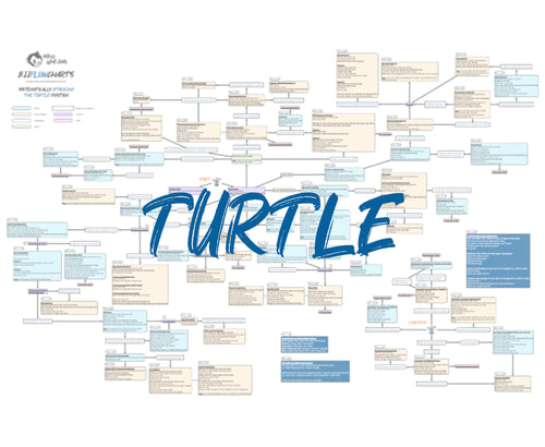 BJJFlowCharts-Flow Chart of Gordon Ryan's Turtle Jiu-Jitsu System